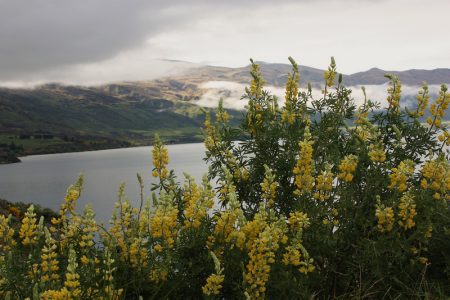 Queenstown