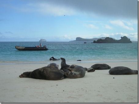 2012-12-17 Galapagos Day 1 morning water camera 007