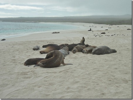 2012-12-17 Galapagos Day 1 morning water camera 024