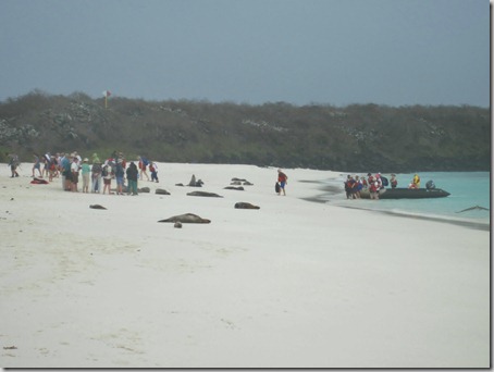 2012-12-17 Galapagos Day 1 morning water camera 030