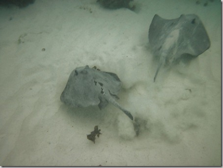 2012-12-17 Galapagos Day 1 morning water camera 073