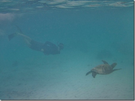 2012-12-17 Galapagos Day 1 morning water camera 076