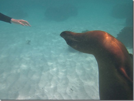 2012-12-17 Galapagos Day 1 morning water camera 096